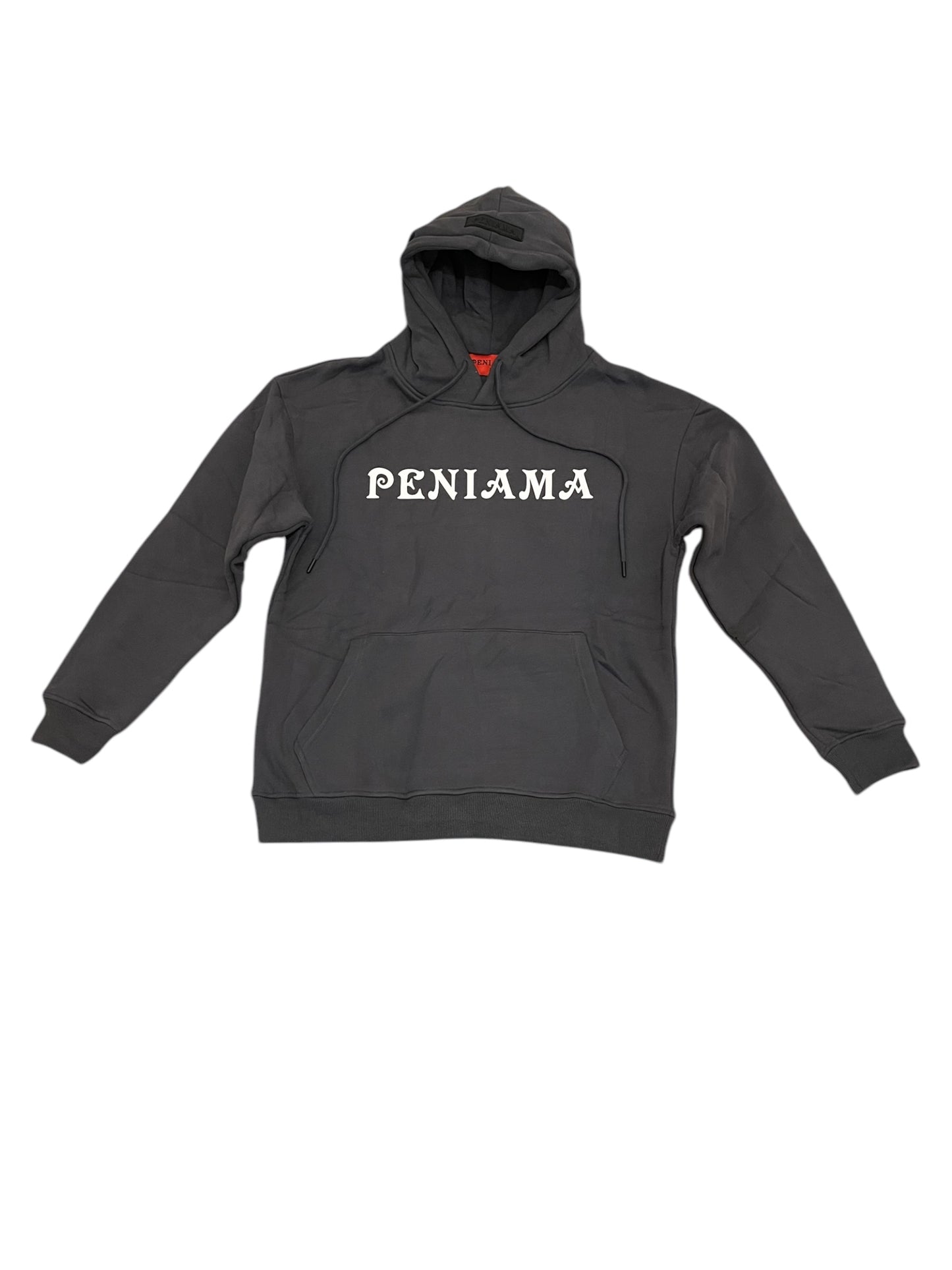 FROZEN UNISEX HOODIE (IRON)